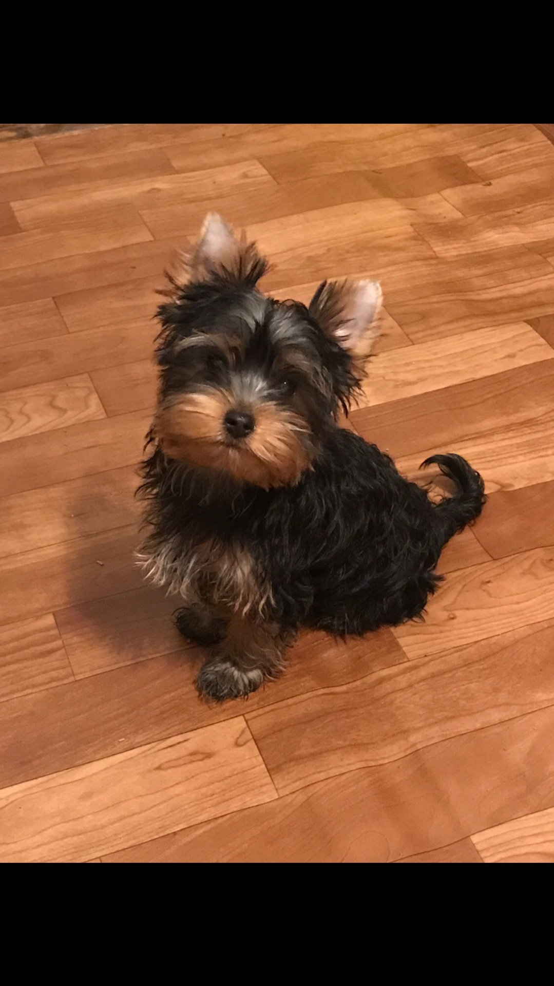 Conor (boy) 💙 Szül. 2023.11.28. Gazdis!